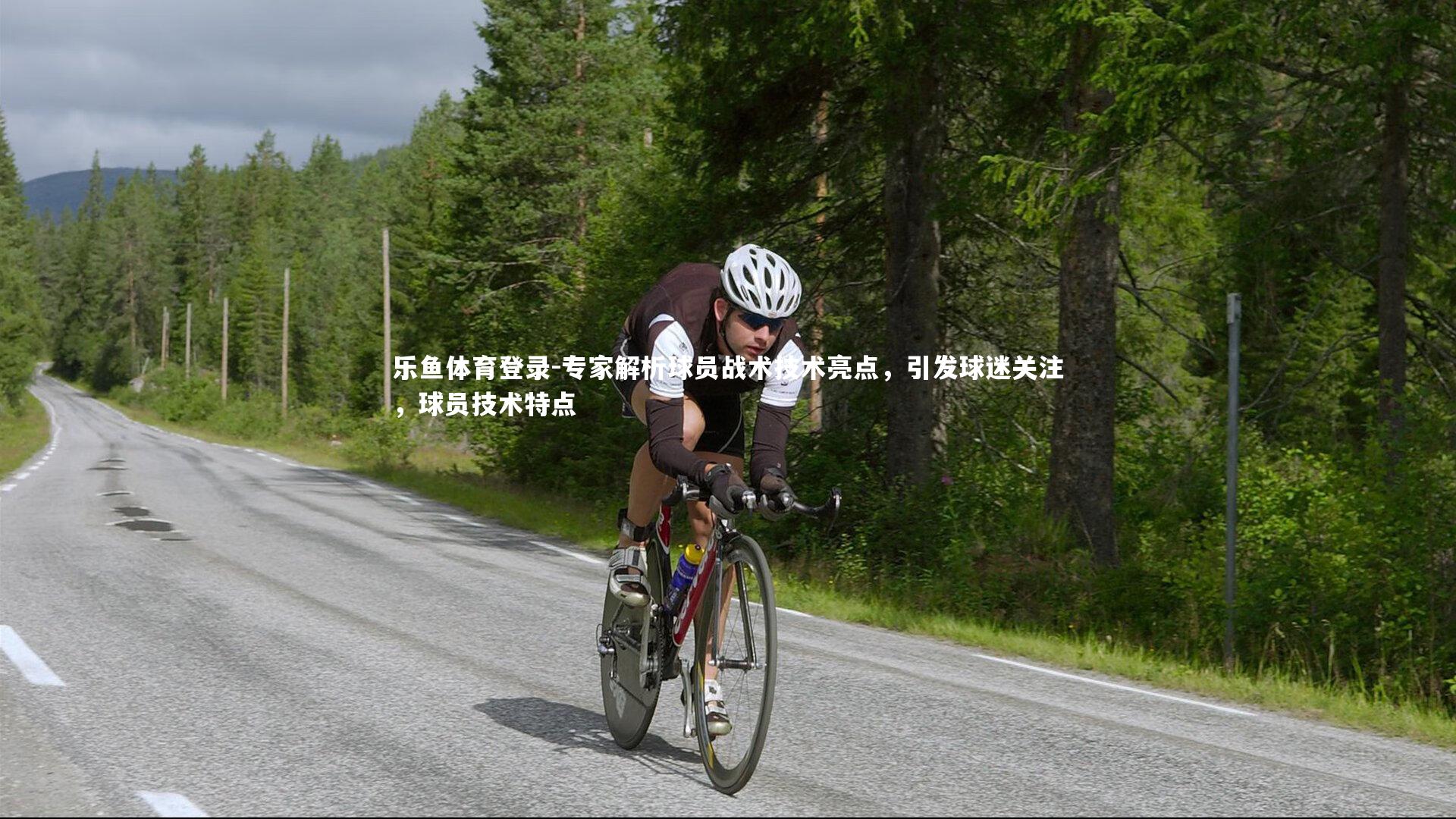 乐鱼体育登录-专家解析球员战术技术亮点，引发球迷关注，球员技术特点